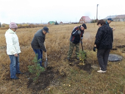 Комсомольцы прошлых лет посадили сосенки в Нагайбакском районе