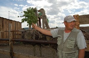 Развивать внутренний  туризм