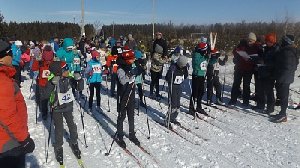 Юные и взрослые лыжники снова посостязались