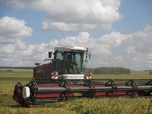 В Нагайбакском районе продолжается уборочная страда