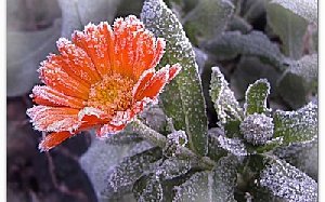 Прощай, жара! Прощай лето!