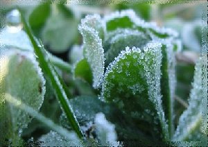 Летом - зима?