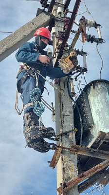 Птичку жалко...