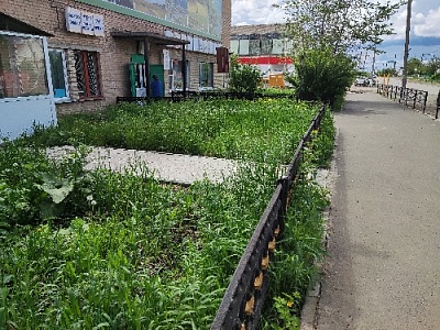 Райцентр зарастает травой