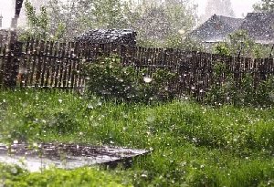 Дожди продолжатся