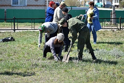 Акция "Сад Памяти" проведена в  Остроленке
