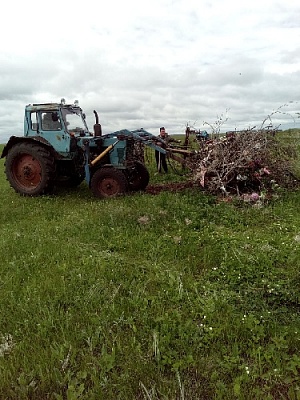 Навели порядок на кладбище