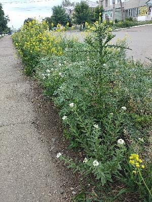 Такой унылый центр села