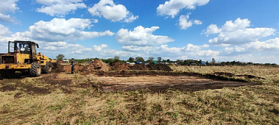 Мухи отдельно, котлеты отдельно