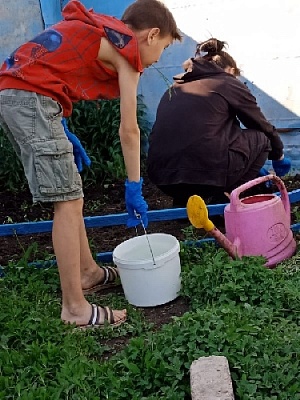 «Посадили мы цветы, чтоб было больше красоты!» 