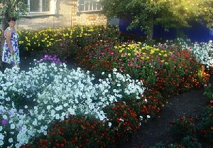 Поддержите хозяюшек!