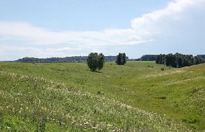 Преступник спрятал останки убитого в Нагайбакском районе