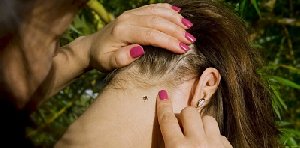 Скоро весна, а значит проснутся клещи!