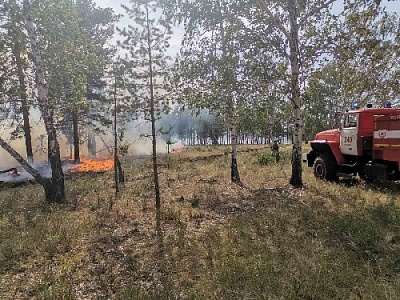 Могут заполыхать поля и леса