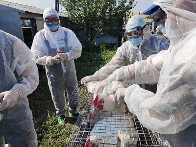 Подозрения на взятку