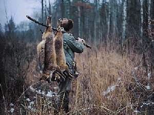 Охотились незаконно