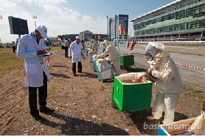 Кассельский пчеловод участвовал во всероссийском конкурсе