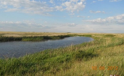 В Нагайбакский район снова пришла аномальная жара 