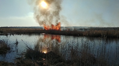 В Нагайбакском районе снова степные пожары!