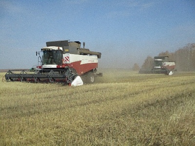 Уборочная кампания в Нагайбакском районе набирает обороты