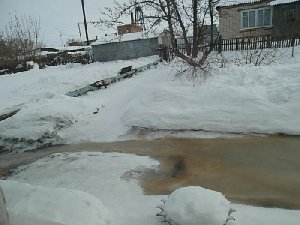 И снова о фекалиях