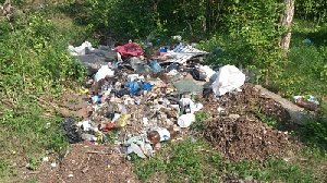 Борис Дубровский: незаконных свалок не должно быть! 