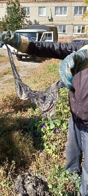 Не бросайте бюстгальтеры в унитаз!