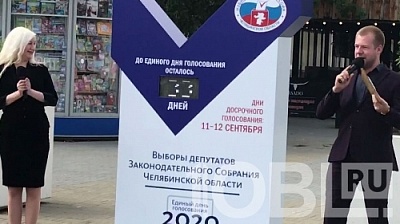 Сколько дней до выборов?