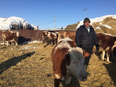 Начинающий фермер Закир Амиров из Нагайбакского района выиграл грант на расширение сельского хозяйства