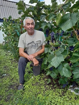 «Плантации» по-кассельски