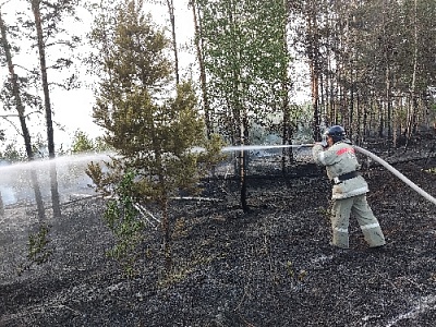 В Нагайбакском районе полыхают пожары