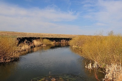 Русло Гумбейки в Нагайбакском районе будет очищено