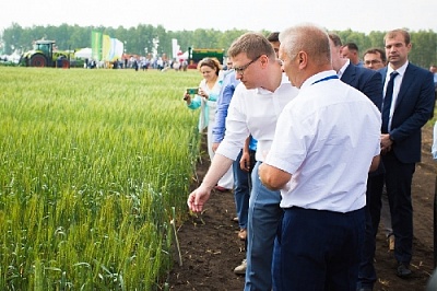 День поля состоится в усечённом формате