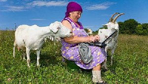 В Интернет - без проблем!