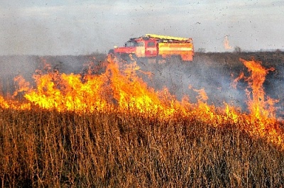 Шашлыки на природе отменяются!
