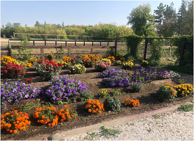 «Красивое село»: победители – парижане