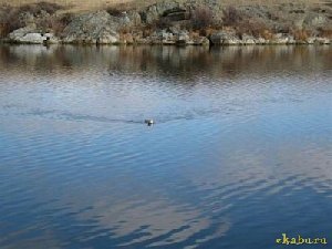 Нарушителю реки по колено