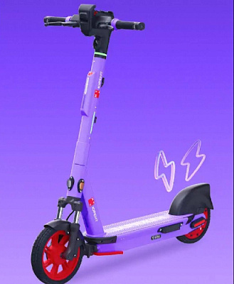 Разгонять гусей и кур? Электросамоткаты привезли в Париж