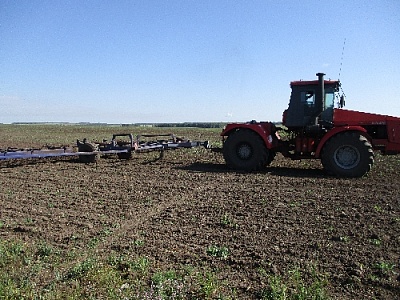 Парижане – в преддверии уборочной
