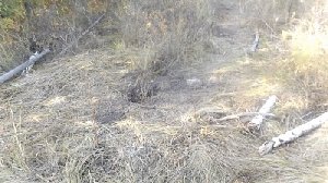 Одни ремонтируют, другие воруют!