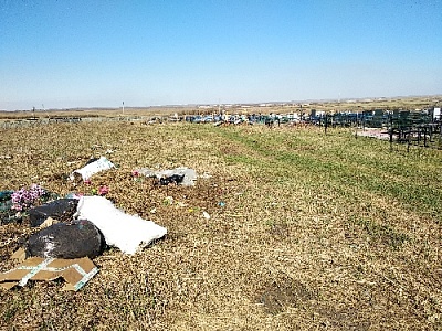 А в Фершампенуазе «свинячат» около могил