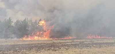 Село Париж удалось отстоять от пожара 