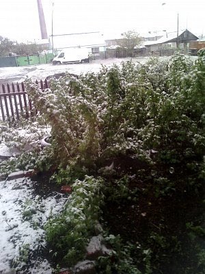 В Нагайбакском районе выпал снег.