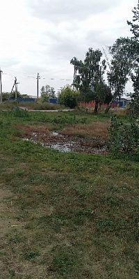 Фекалии бегут по улицам районного центра