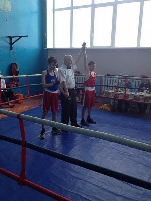 Боксёры показали силу и ловкость