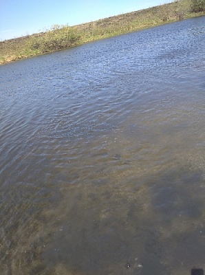 Речка, солнце и жара погубили молодую женщину