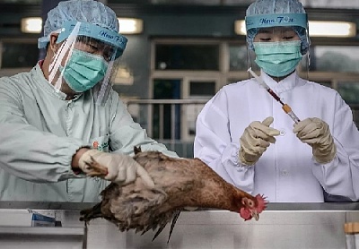 Выставки животных и реализация продукции будут проходить под надзором ветврачей 