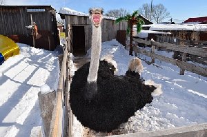 У нас  есть чем похвалиться