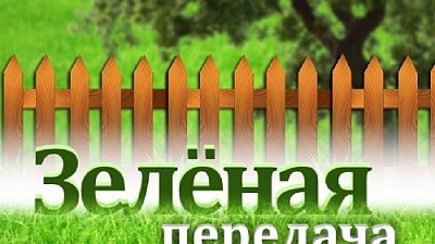 Жители Нагайбакского района могут выиграть призы от Областного телевидения 