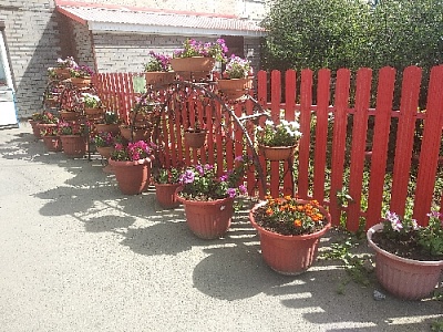 В районном центре обустраивают цветники